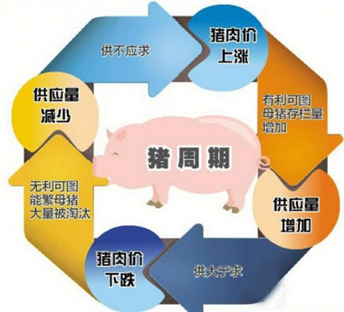 擺脫“豬周期”需要市場信息及時傳導